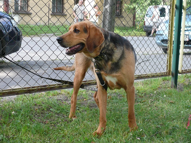 I Diunka ponownie.