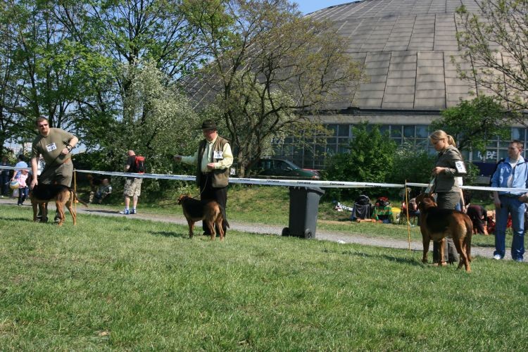 opole 2009 084.jpg