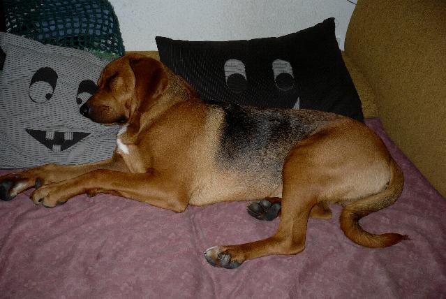 P1070004.JPG