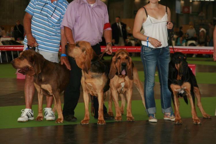 paryż2011 196.jpg