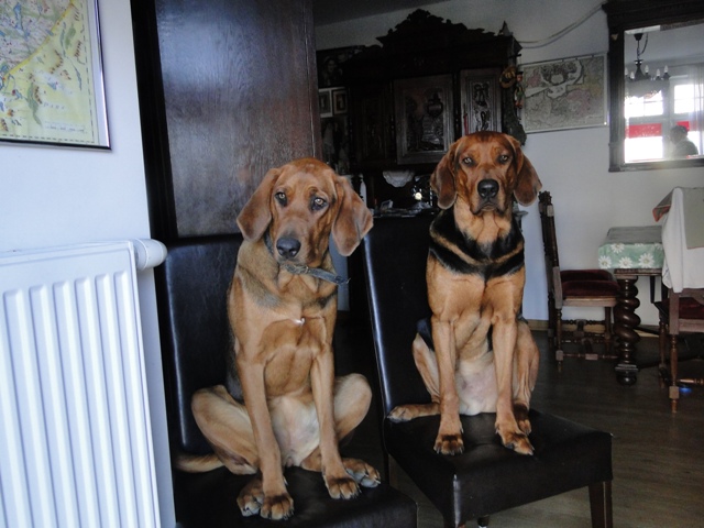 DSC03256.JPG