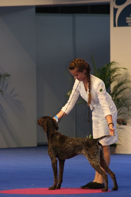 paryż2011 265.jpg