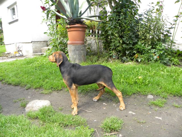 Obraz 1148.jpg