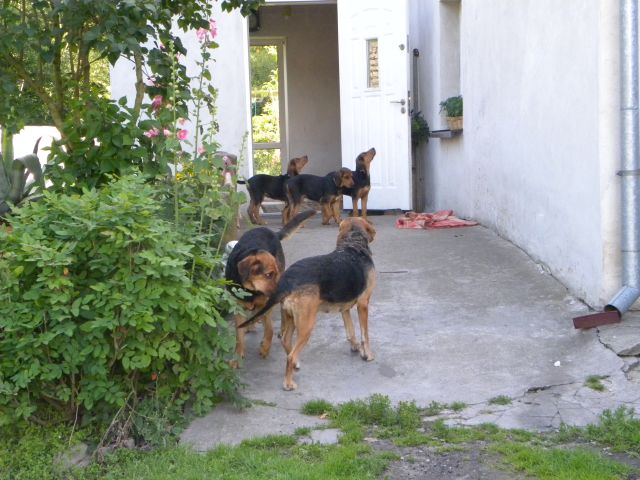 Dziesięc dni temu było nas jeszcze trzech. Dziś zostałem sam
