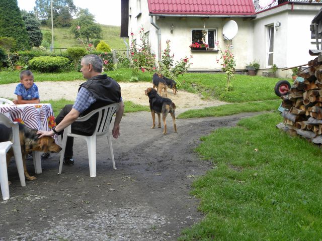 Grupa hodowlana.