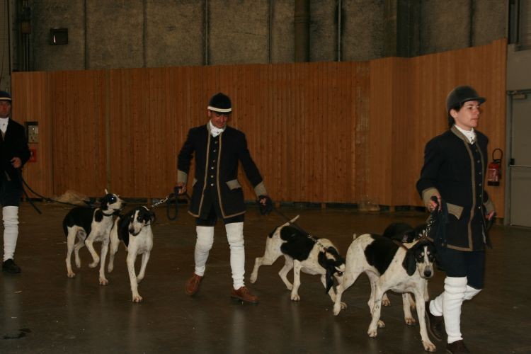 Biało-czarny
