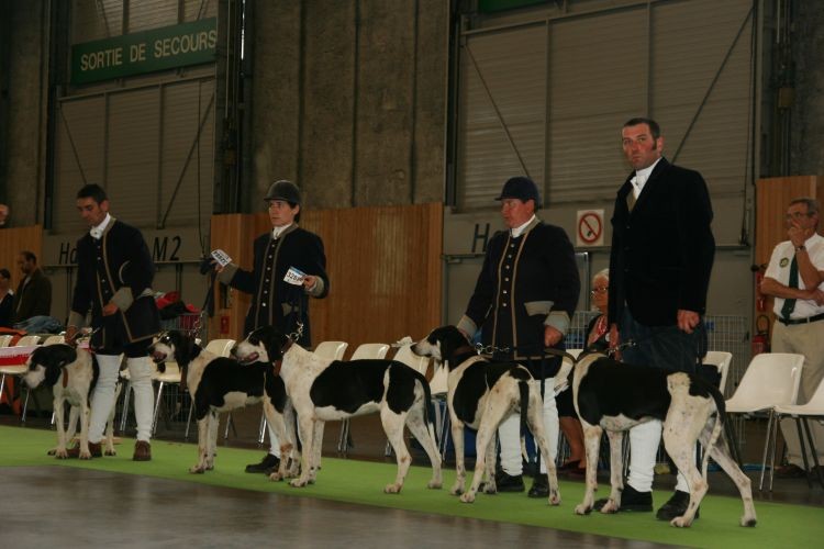 paryż2011 464.jpg