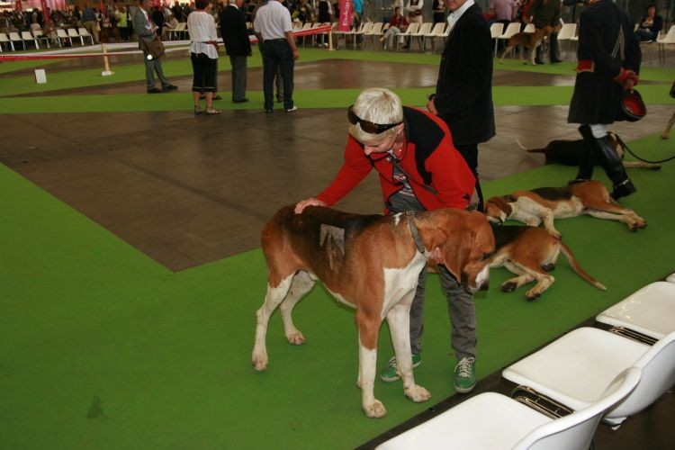 paryż2011 472.jpg