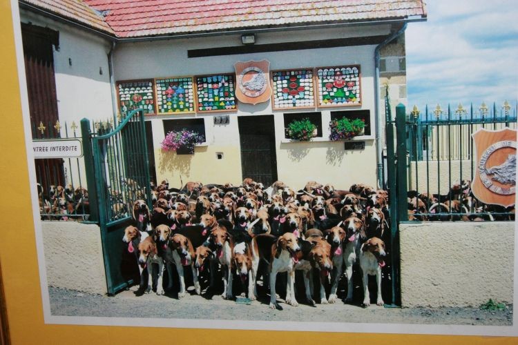 czekamy na sygnał, czekamy na sygnał