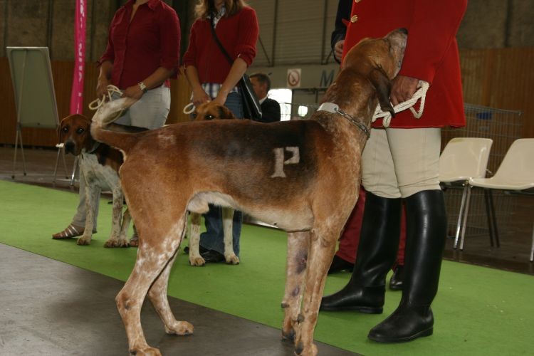 paryż2011 558.jpg