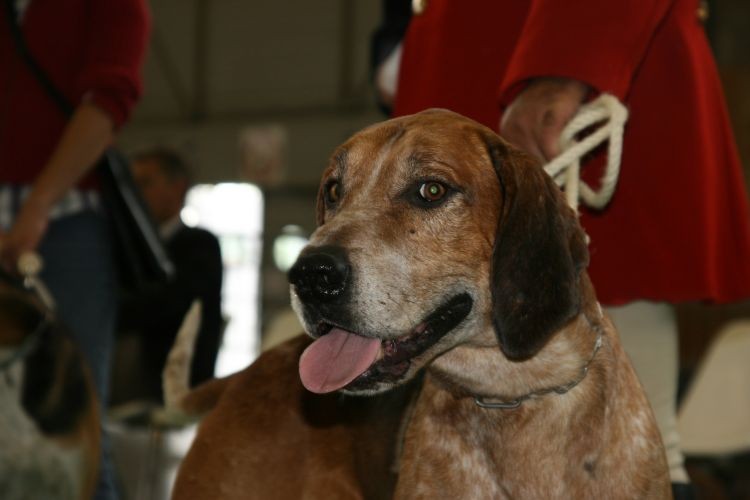 paryż2011 559.jpg