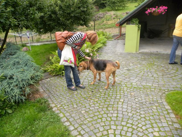 Pasja