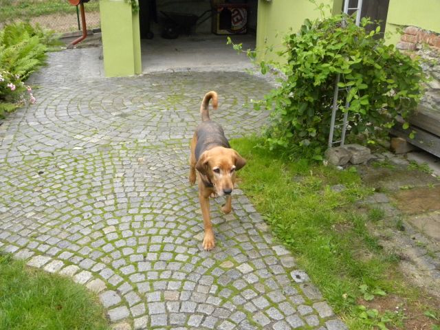 Obraz 997.jpg