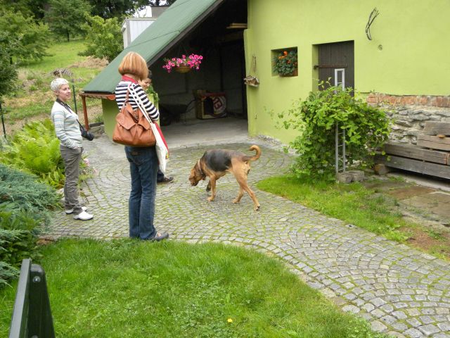 Obraz 1002.jpg