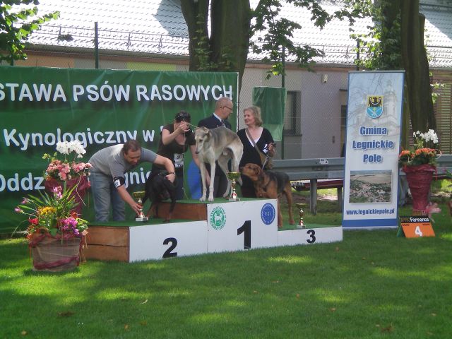 Finał konkursu najpiękniejszy pies ras polskich