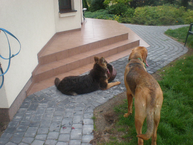 Najadłaś się to pewnie jesteś spragniona, no dobra, napij się, tylko szybko!