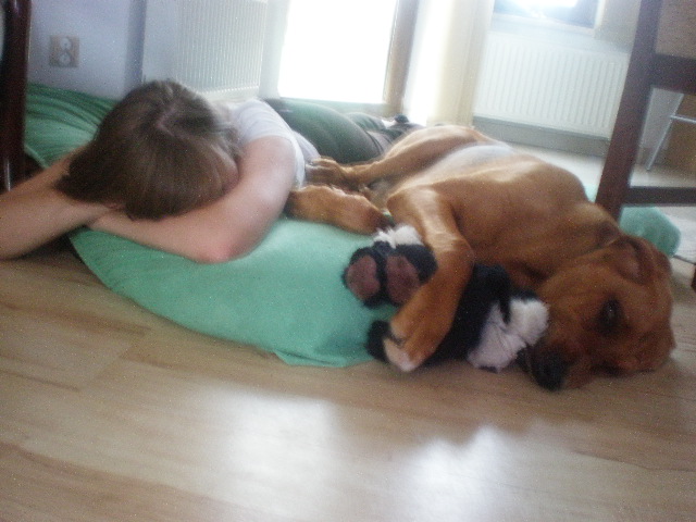Dobranoc...