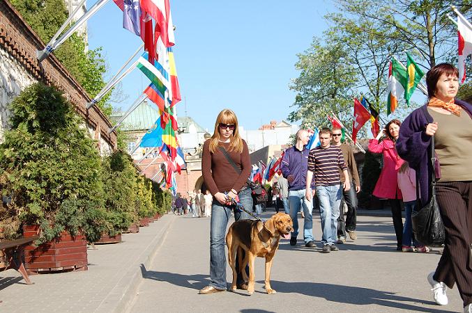 Jasna Góra w drodze powrotnej do Warszawy