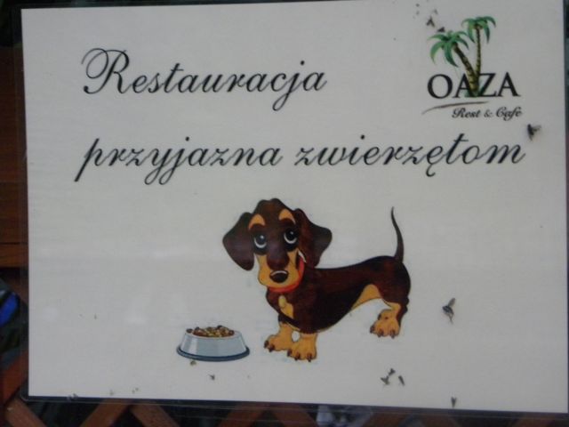 Obraz 563.jpg