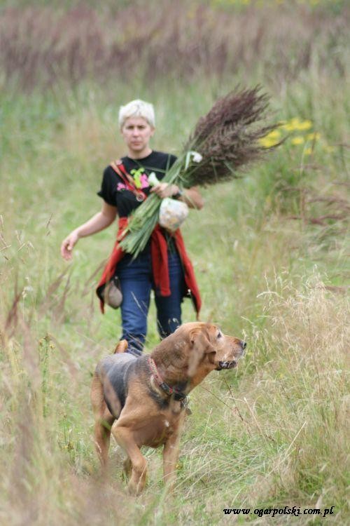 Wracamy z łowów leśno-łąkowych.