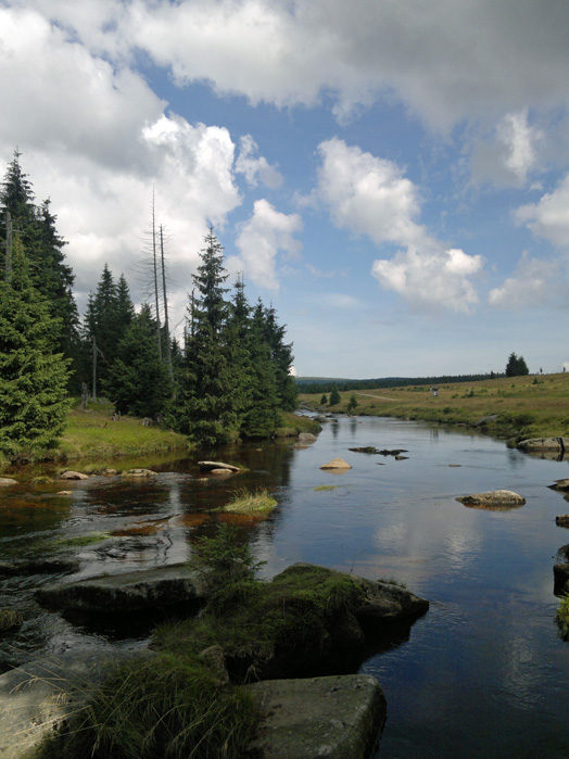 03082011248.jpg