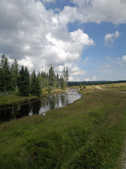 03082011249.jpg