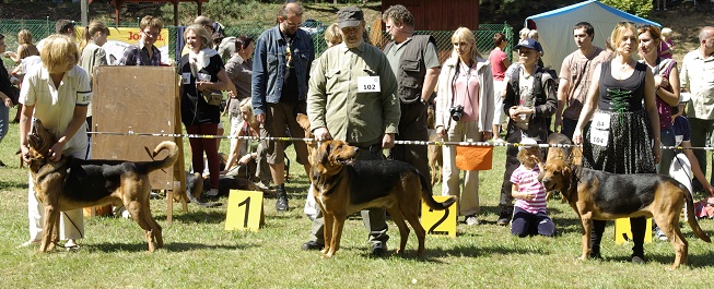 _IGP2929.JPG
