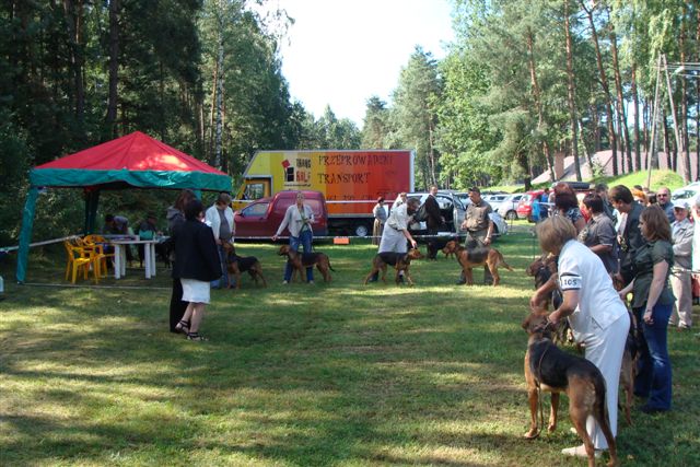Dzieci Amona (w głębi) z prawej &quot;dodatkowy&quot; Cyran