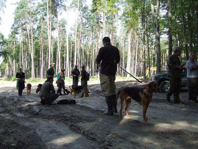 DSCF0978.JPG
