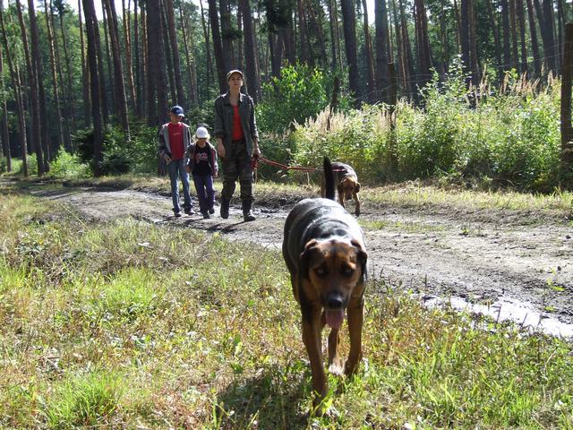 DSCF0988.JPG