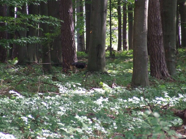 DSCF1014.JPG