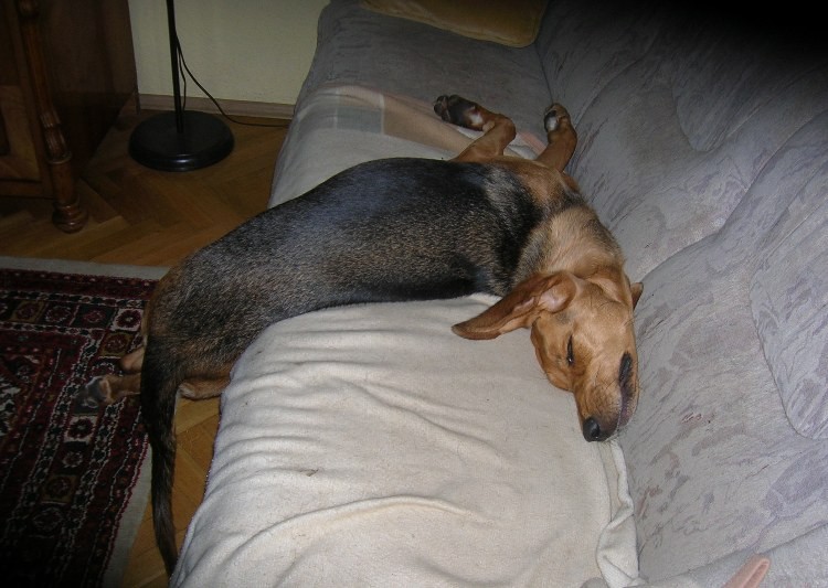 DSCN5402.JPG