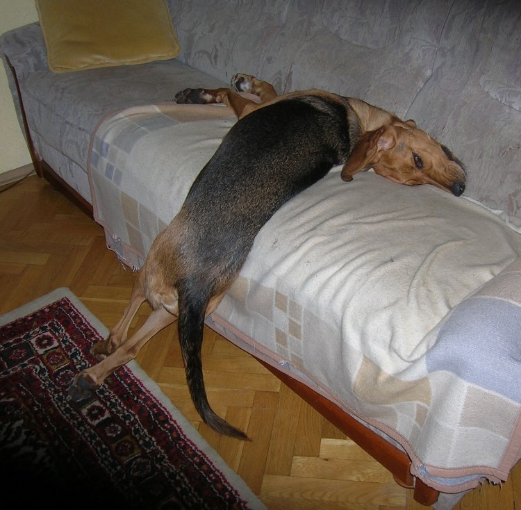 DSCN5399.JPG