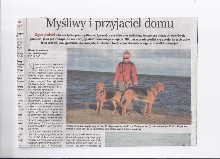 ogary gazeta 1.jpg
