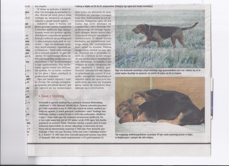 ogary gazeta 2.jpg