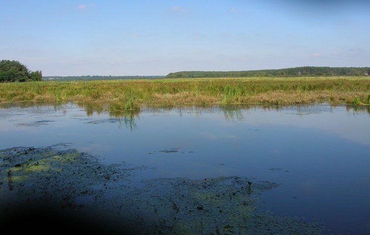 Zjawiskowo - widokowo