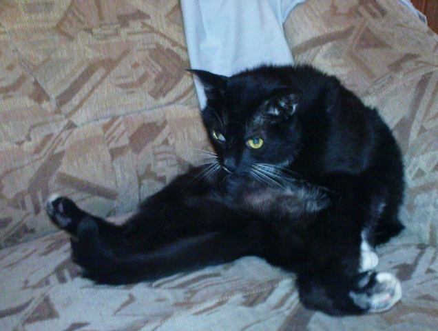 Kajetan w akcji:)