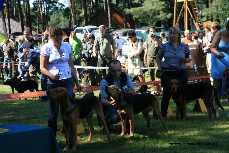 góry złote 048.jpg