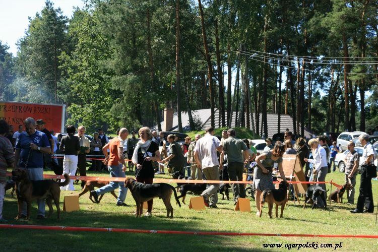 góry złote 131.jpg