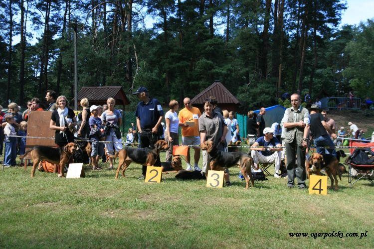 góry złote 153.jpg
