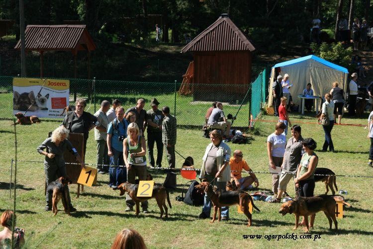 dziewczyny