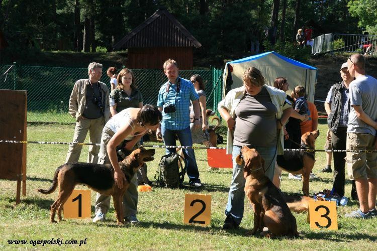 góry złote 318.jpg