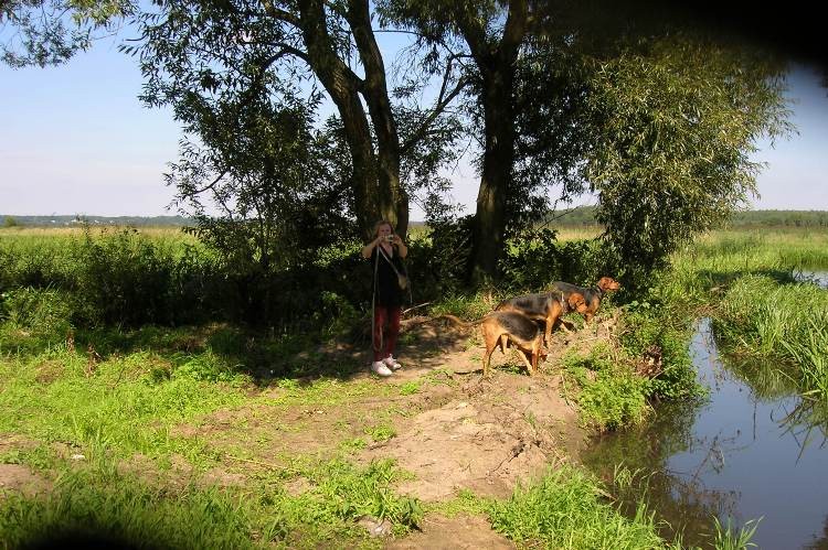 Wypatrywaliśmy