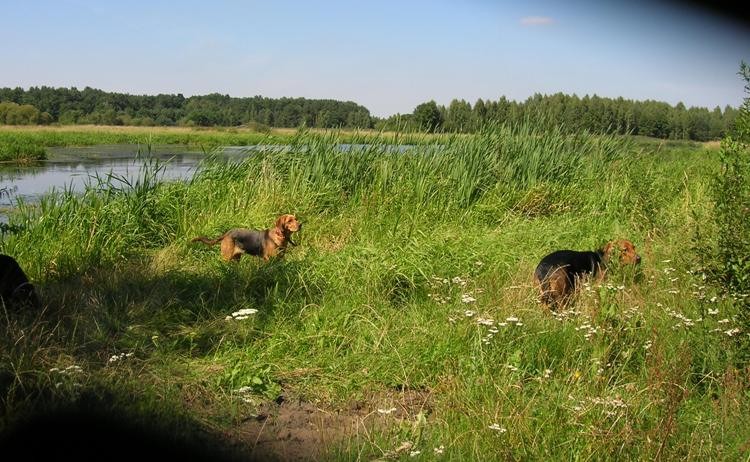 DSCN6377.JPG