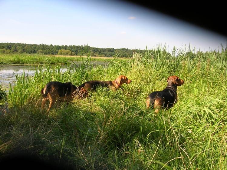 DSCN6383.JPG