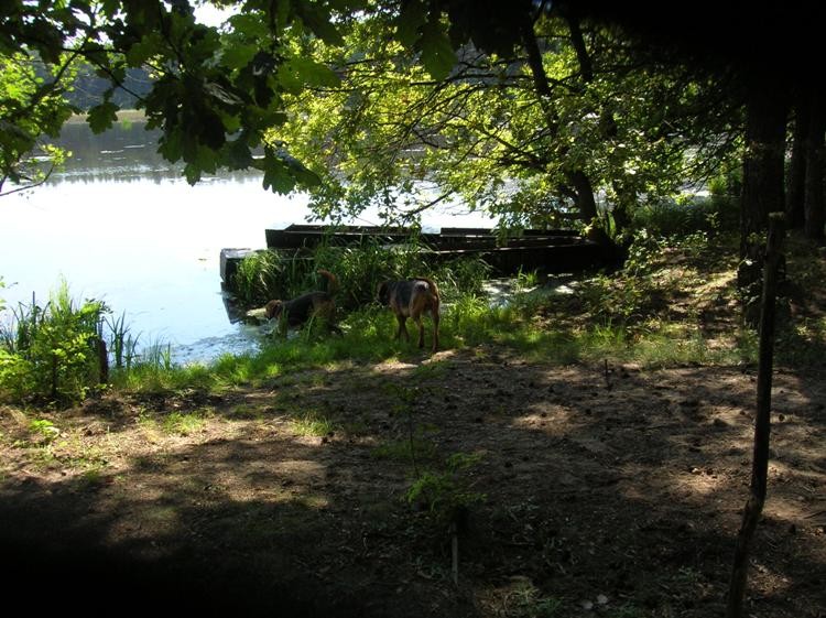DSCN6395.JPG
