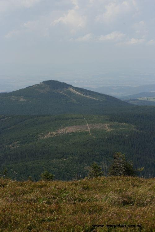 na wszystko mam odpowiedź ostrą...