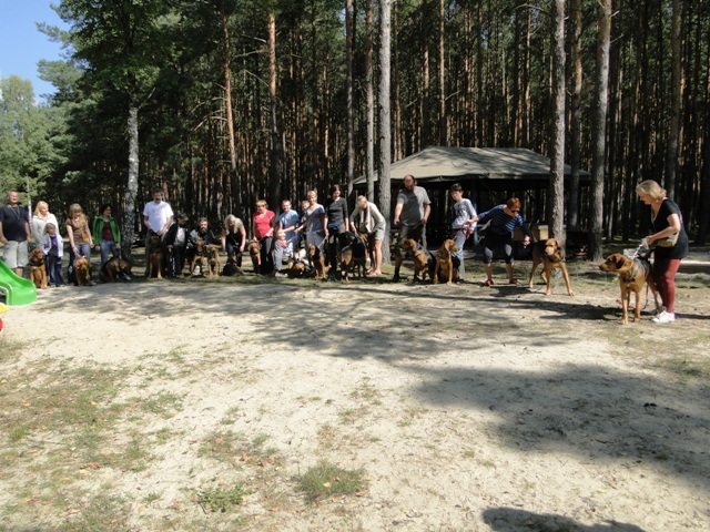 klubowa 2011 3.JPG
