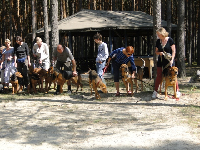 klubowa 2011 4.JPG