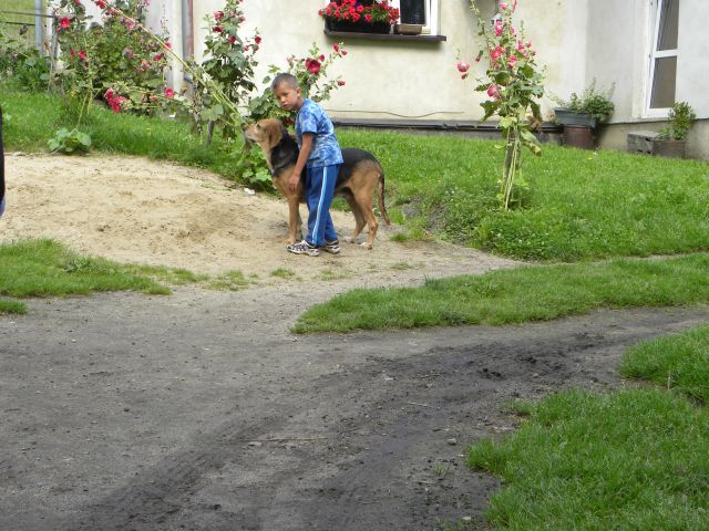 Obraz 1151.jpg